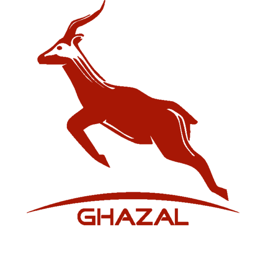 بهین خودرو